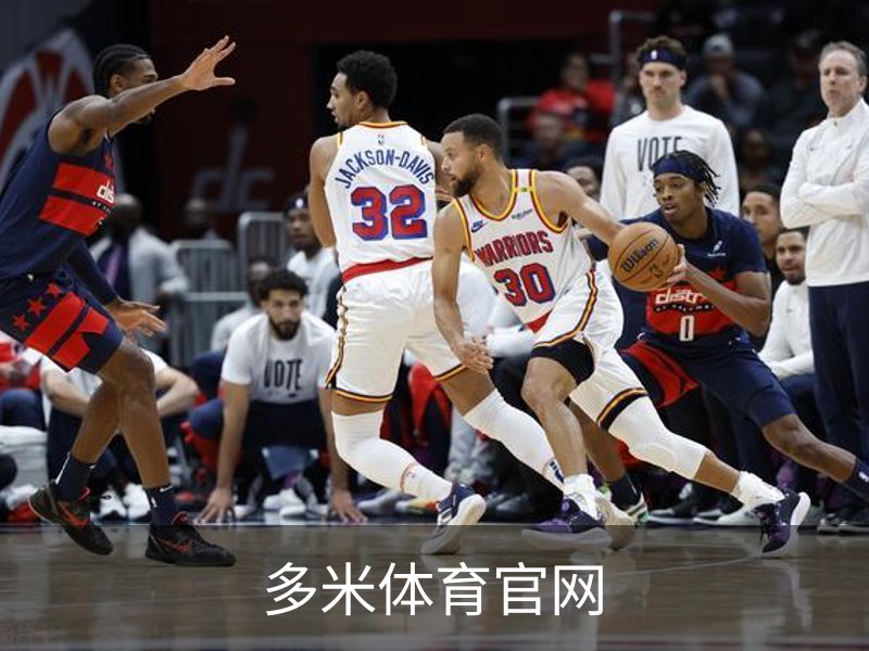 多米体育官网概况